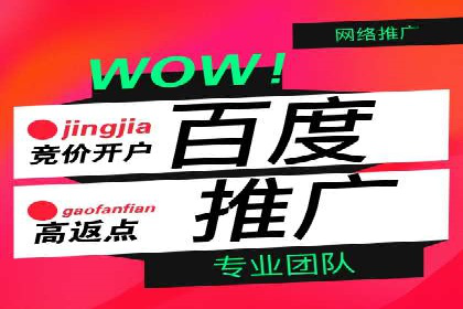 关键词竞价排名策略案例分析